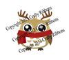 Order  Christmas Owl - Digi 4